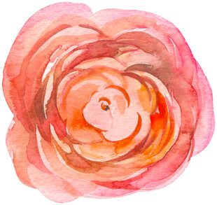 水彩绘就的柔美粉色花朵