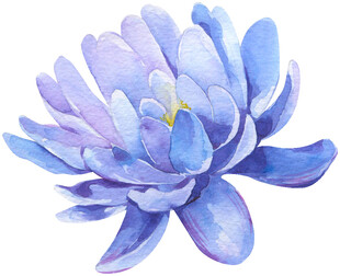 蓝色水彩绘就的美丽莲花