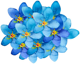 蓝色小花水彩画