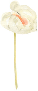 白色单支仿真花