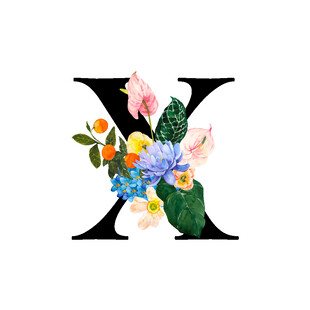 花卉装饰的字母X