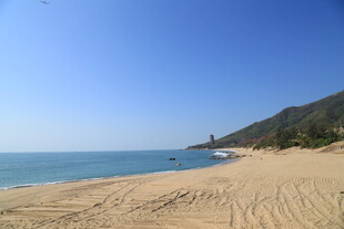 金色沙滩与蔚蓝大海美景