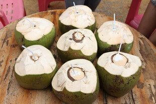 新鲜切开的椰子