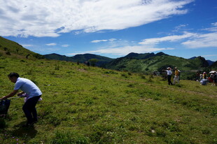 户外徒步者在绿色山野间