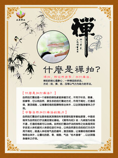 什么是禅拍展板