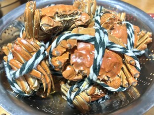 新鲜捆绑大闸蟹