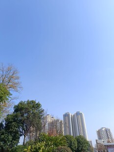 城市高楼与绿树蓝天