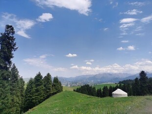 草原风光中的白色毡房