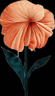 橙色褶皱花朵特写