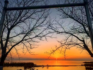 夕阳下的枯树与宁静湖面