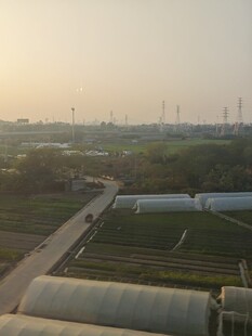 夕阳下的农田与风力发电场