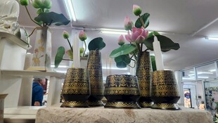 精致室内绿植装饰摆件