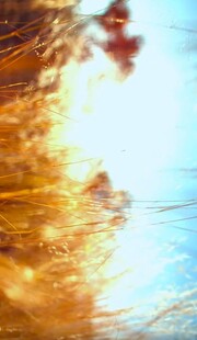 波光粼粼的水面光影景象