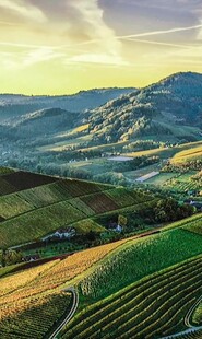 田园风光中的美丽山丘