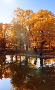秋日湖畔美景
