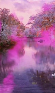 梦幻粉紫河畔风景