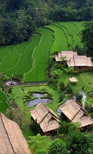 田园风光中的古朴村落