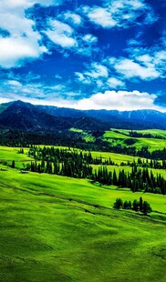 广袤绿野与蓝天白云美景