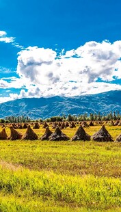 草原上的草垛与蓝天白云