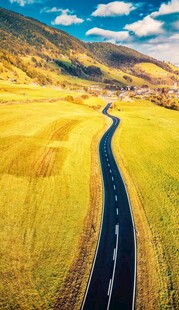 金色田野中的蜿蜒公路