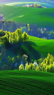 翠绿山丘间的迷人田园风光