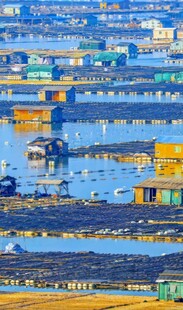 繁忙港口集装箱景象