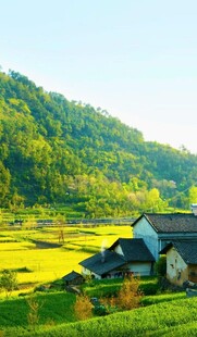 田园风光中的乡村小屋