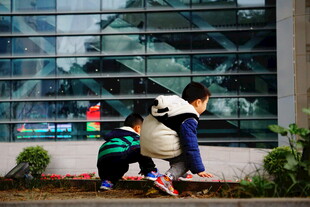 雨中孩童专注观察植物