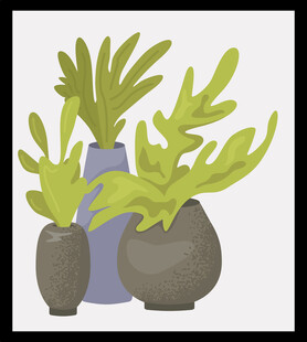 简约风盆栽插画