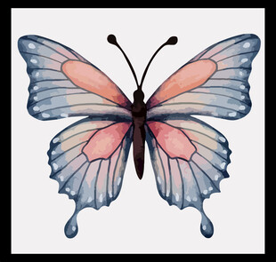 手绘梦幻蝴蝶图案