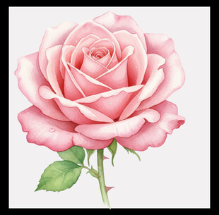 手绘红玫瑰插花图案