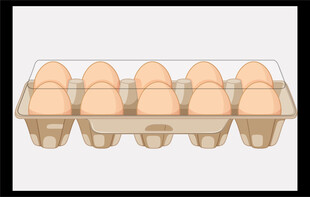 鸡蛋托盘装着多枚鸡蛋
