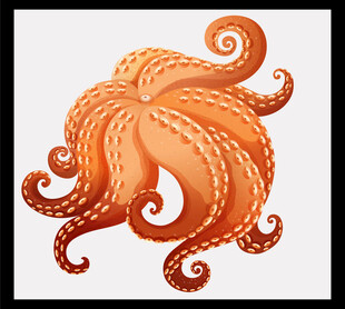 橙色章鱼插画