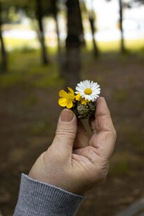 手捧野花的自然瞬间