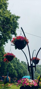 户外铁艺花架悬挂艳丽花卉