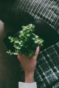 手捧绿植 展现自然小确幸