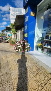 街道上的多彩店铺与行人