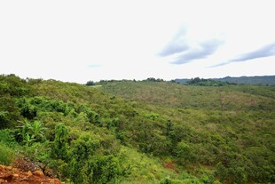 绿意盎然的开阔山野景色