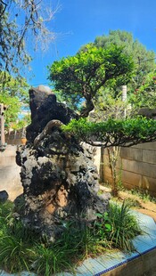 中式庭院假山绿植景观