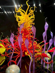 绚丽多彩的花卉艺术装置