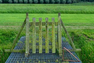 田野中的木质简易小桥