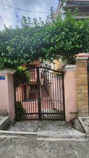 粉色围墙带绿植的庭院门