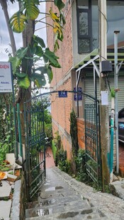 庭院小径绿植环绕景致美