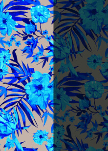 蓝棕植物 扫描版