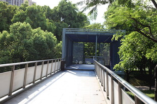 林间步道 通往静谧之境