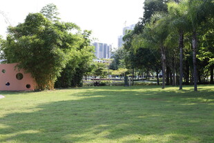 城市中的绿意草坪景观