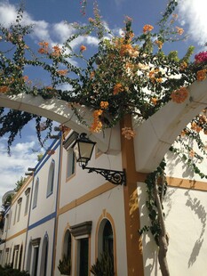 街道繁花装饰的美丽景致