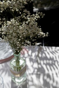 花瓶中的满天星光影之美