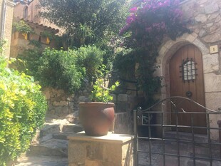 庭院中的绿植与古朴建筑