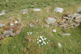 草地中的古老石堆遗迹